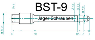 Titan (Ti6Al4V) - Bremsbelagstift natur